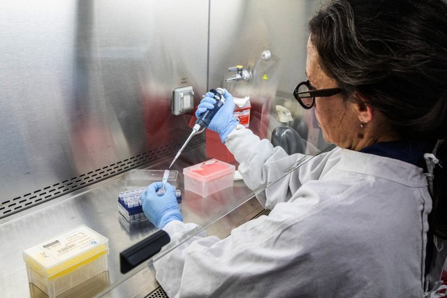 CDC says monitoring US travelers on cruise ship after hantavirus outbreak - Ảnh 1.