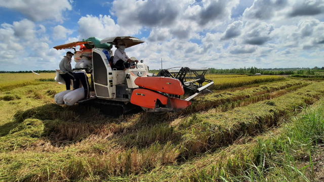 Đề xuất nhiều cơ chế ph&aacute;t triển 3 loại m&ocirc; h&igrave;nh n&ocirc;ng nghiệp ở H&agrave; Nội- Ảnh 1.