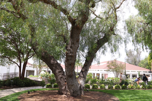 Thăm Bảo t&agrave;ng Nixon ở California: C&aacute;ch người Mỹ kể c&acirc;u chuyện chiến tranh Việt Nam- Ảnh 13.