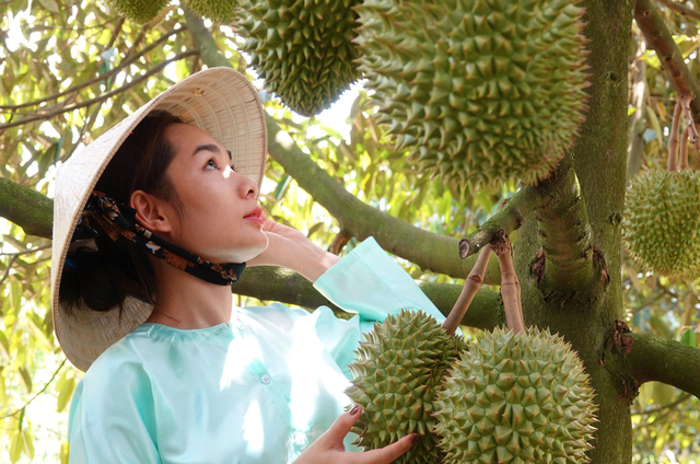 Ấn Độ sẽ là 'mỏ vàng' mới của sầu riêng Việt Nam? - Ảnh 1.