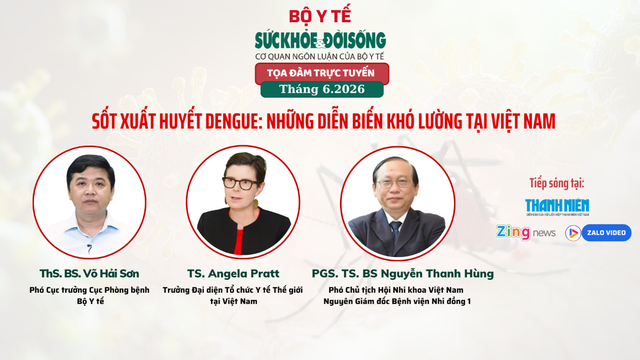 Sốt xuất huyết Dengue gia tăng với nhiều diễn biến khó lường tại Việt Nam - Ảnh 1.
