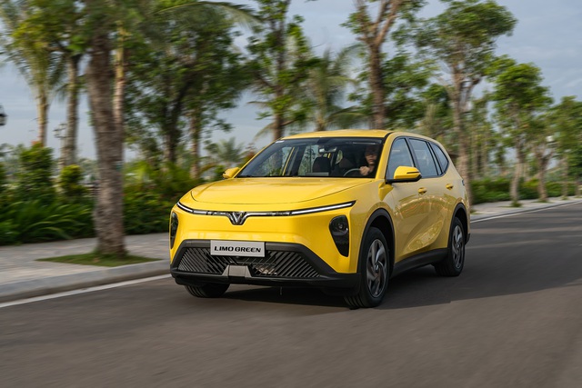 VinFast b&aacute;n gần 100.000 xe tại Việt Nam sau 5 th&aacute;ng đầu năm, vượt xa Toyota, Hyundai- Ảnh 2.