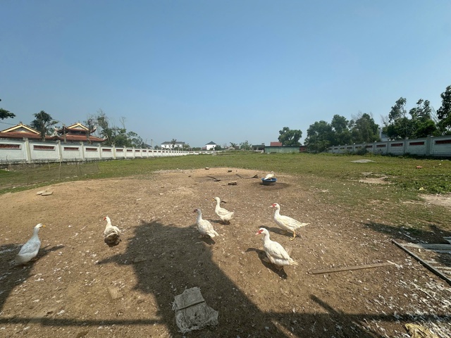 Dự án bảo tồn ca trù hơn 11 tỉ đồng “đắp chiếu”- Ảnh 2. Dự án bảo tồn ca trù hơn 11 tỉ đồng “đắp chiếu”- Ảnh 2.