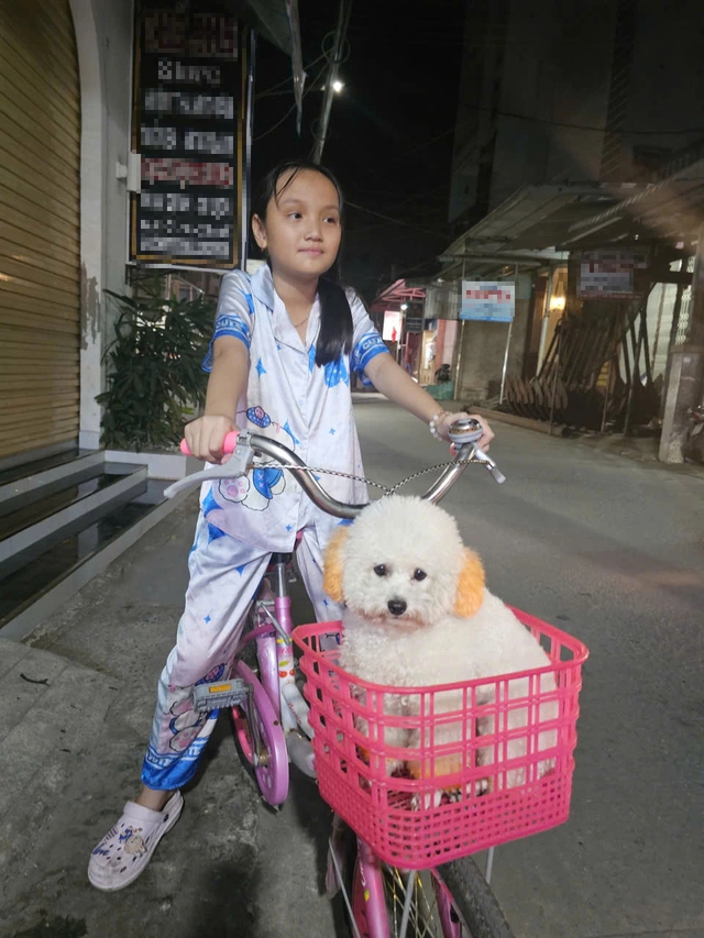 Chó thông minh tên Bé Dâu biết làm toán hút triệu view ở Cà Mau - Ảnh 4.