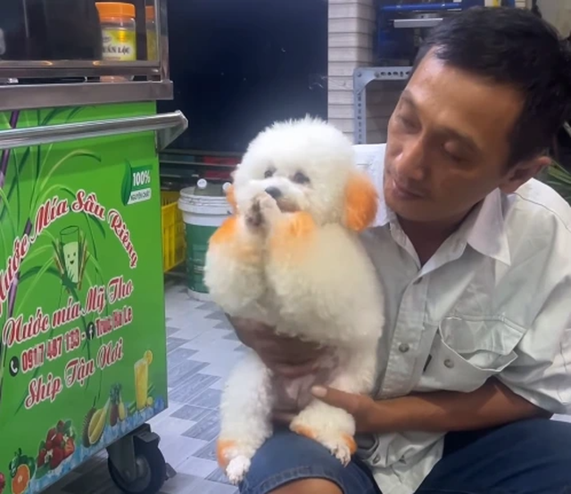 Chó thông minh tên Bé Dâu biết làm toán hút triệu view ở Cà Mau - Ảnh 6.