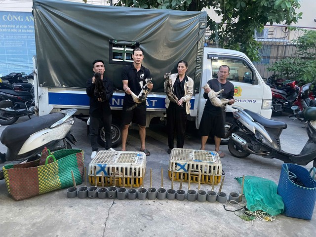 Công an TP.HCM phá đường dây trộm cắp, giữ hơn 500 con mèo chờ đi tiêu thụ - Ảnh 1.