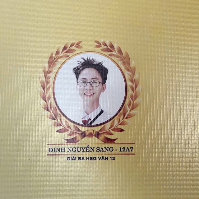 Học sinh giỏi văn TP.HCM nhận xét gì về đề thi văn tốt nghiệp THPT? - Ảnh 2.
