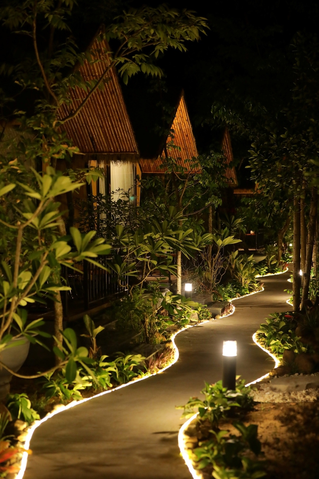 Old Tree Garden, điểm đến mới cho xu hướng nghỉ dưỡng xanh staycation - Ảnh 4.