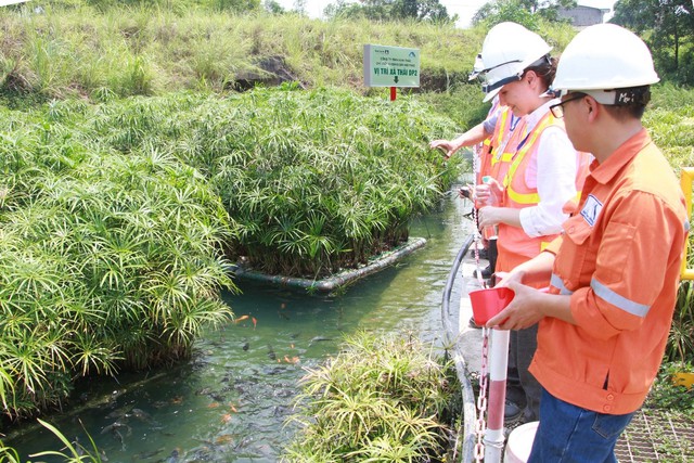 5 năm liên tiếp Masan được vinh danh doanh nghiệp phát triển bền vững tiêu biểu - Ảnh 6.