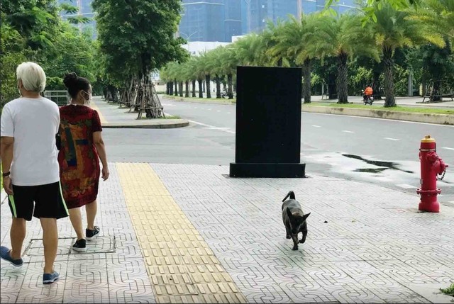Đừng bắt cộng đồng chịu đựng tình trạng nuôi chó vô ý thức - Ảnh 1.