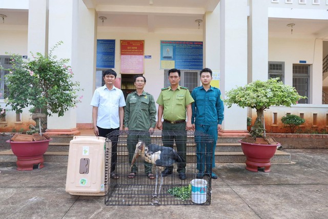 Thấy 'Sách Đỏ Việt Nam' trong vườn, người dân mang giao nộp - Ảnh 3.