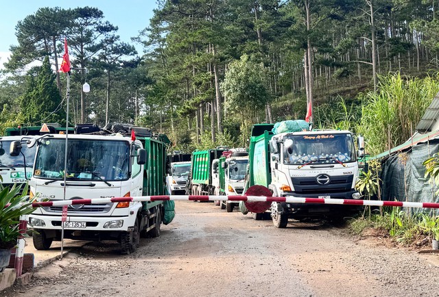 Vì sao đường phố Đà Lạt rác thải ùn ứ khắp nơi?- Ảnh 1.