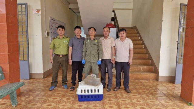 Thấy 'Sách Đỏ Việt Nam' trong vườn, người dân mang giao nộp - Ảnh 2.