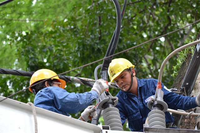 'Vũ điệu cám heo' và niềm hạnh phúc không sao kể xiết khi điện về - Ảnh 2.