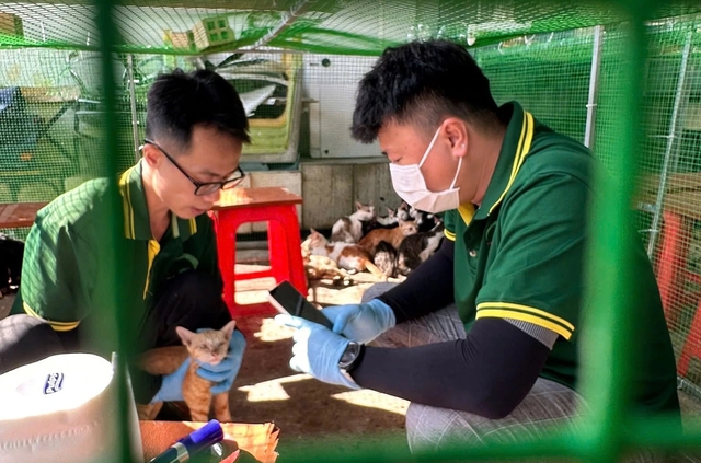 Thảo Cầm Vi&ecirc;n c&ugrave;ng cảnh s&aacute;t h&igrave;nh sự t&igrave;m chủ cho 400 con m&egrave;o được giải cứu - Ảnh 4.