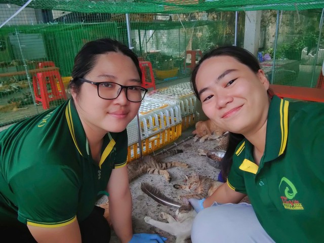 Thảo Cầm Vi&ecirc;n c&ugrave;ng cảnh s&aacute;t h&igrave;nh sự t&igrave;m chủ cho 400 con m&egrave;o được giải cứu - Ảnh 1.