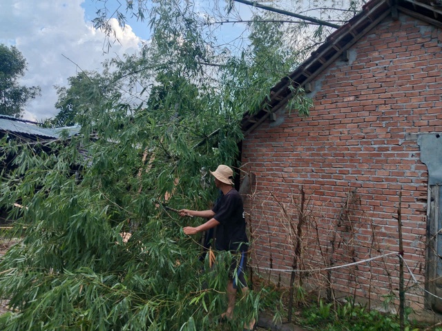 Quảng Ngãi: Lốc xoáy làm 70 nhà dân tốc mái, trụ sở UBND xã hư hỏng- Ảnh 3. Quảng Ngãi: Lốc xoáy làm 70 nhà dân tốc mái, trụ sở UBND xã hư hỏng- Ảnh 3.