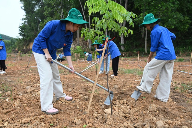 Coi chống sa mạc hóa là cốt lõi an ninh quốc gia - Ảnh 1.