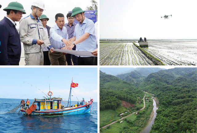 Ngành nông nghiệp và môi trường Quảng Trị tăng tốc từ đầu năm - Ảnh 2.