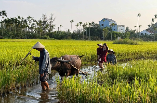Những 'đại sứ' du lịch ch&acirc;n đất - Ảnh 5.