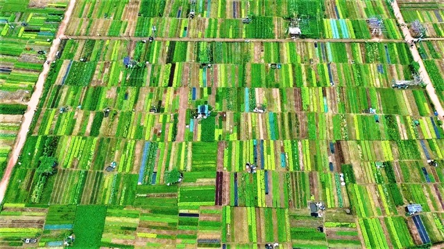 Những 'đại sứ' du lịch ch&acirc;n đất - Ảnh 3.