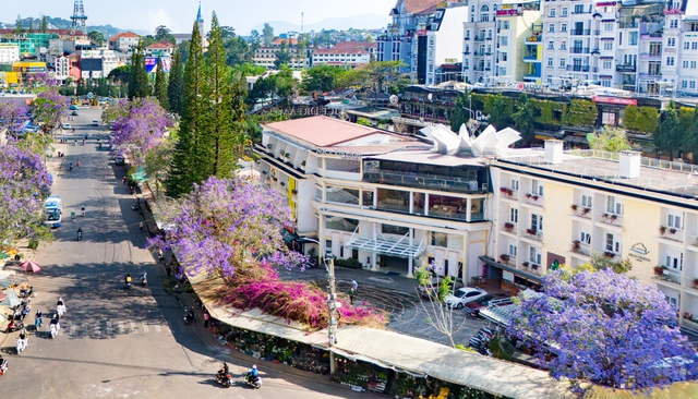 Đón hè rực rỡ, nạp năng lượng sáng tạo cùng 'hệ sinh thái' Dalattourist - Ảnh 6.