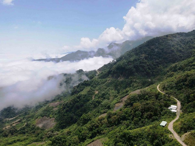 'Canh' quốc bảo trên đỉnh Ngọc Linh- Ảnh 1. 'Canh' quốc bảo trên đỉnh Ngọc Linh- Ảnh 1.