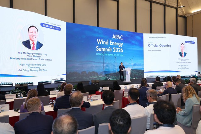Anh hỗ trợ Việt Nam về điện gió ngoài khơi và tài chính xanh - Ảnh 1.