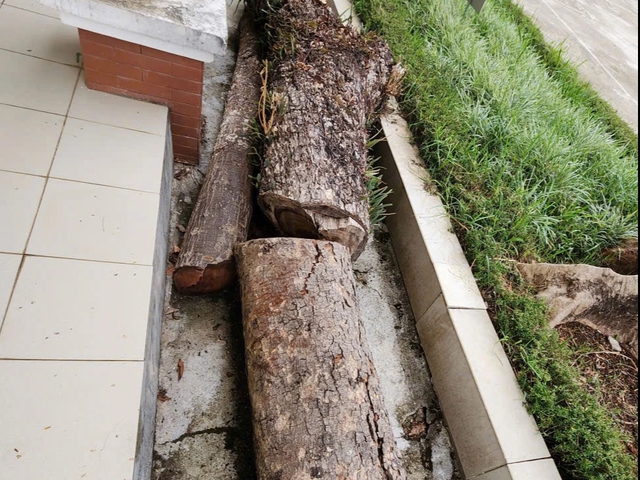 Nhiều sai phạm tại Trung tâm GDNN-GDTX Bảo Lộc, kiến nghị xử lý trách nhiệm giám đốc - Ảnh 5.