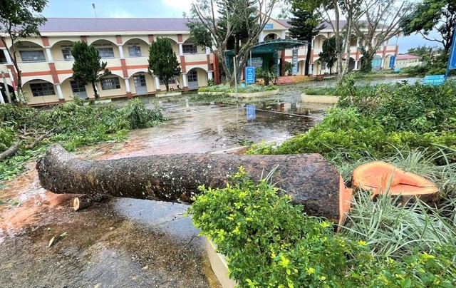 Nhiều sai phạm tại Trung tâm GDNN-GDTX Bảo Lộc, kiến nghị xử lý trách nhiệm giám đốc - Ảnh 3.