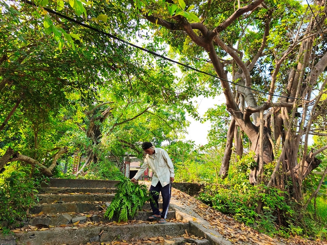 Rừng thiêng giữa phố: Những điều cấm ở rừng Trung Sơn- Ảnh 1. Rừng thiêng giữa phố: Những điều cấm ở rừng Trung Sơn- Ảnh 1.