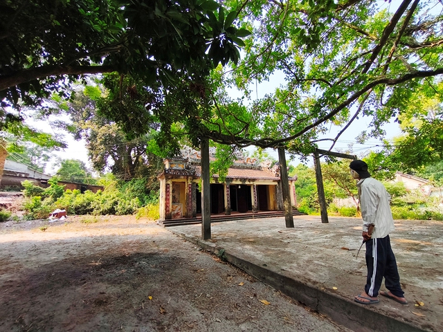 Rừng thiêng giữa phố: Những điều cấm ở rừng Trung Sơn- Ảnh 3. Rừng thiêng giữa phố: Những điều cấm ở rừng Trung Sơn- Ảnh 3.