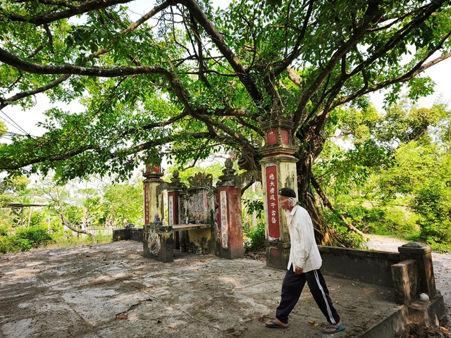 Rừng thiêng giữa phố: Những điều cấm ở rừng Trung Sơn- Ảnh 5. Rừng thiêng giữa phố: Những điều cấm ở rừng Trung Sơn- Ảnh 5.