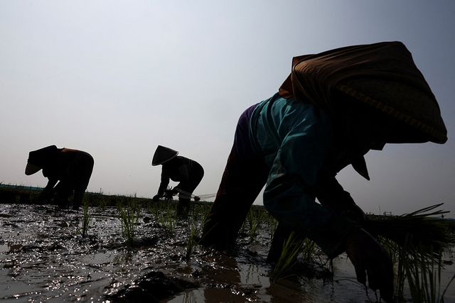 Thế giới ứng phó siêu El Nino - Ảnh 1.