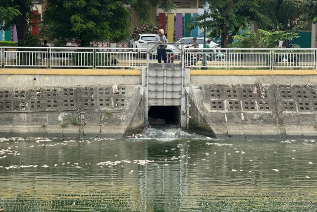 Hà Nội: Cá chết hàng loạt, nổi trắng hồ điều hòa công viên Nghĩa Đô- Ảnh 4. Hà Nội: Cá chết hàng loạt, nổi trắng hồ điều hòa công viên Nghĩa Đô- Ảnh 4.