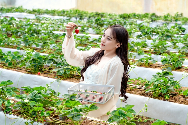 Summer In Love 2026 - Mùa hè của những trải nghiệm mới tại Thung lũng Tình yêu - Ảnh 2.