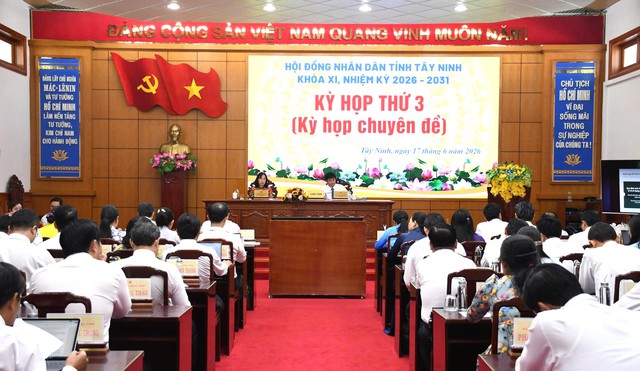  8.000 tỉ đồng hoàn thiện trục động lực kết nối TP.HCM và Đồng Tháp - Ảnh 1.