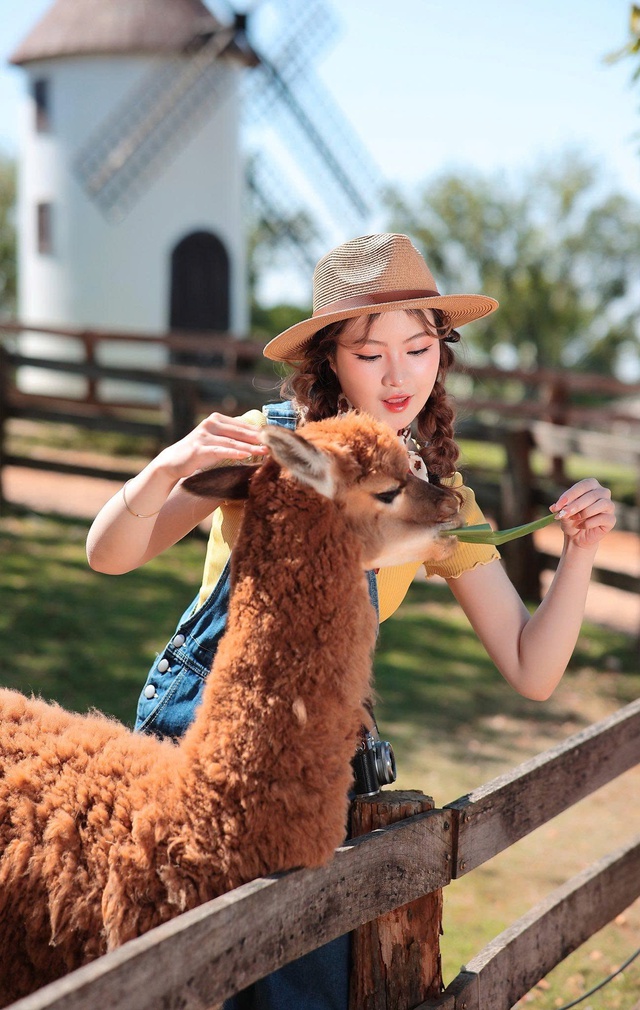 Mùa hè rực rỡ tại Mongo Land Đà Lạt - Ảnh 2.