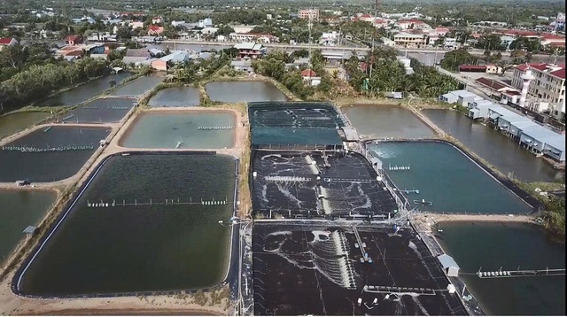  Đầm Dơi có gì đặc biệt?- Ảnh 3.