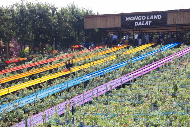Mùa hè rực rỡ tại Mongo Land Đà Lạt - Ảnh 5.