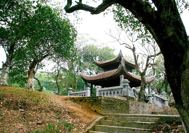 Dựng bảo tàng sinh thái Cổ Loa- Ảnh 1. Dựng bảo tàng sinh thái Cổ Loa- Ảnh 1.