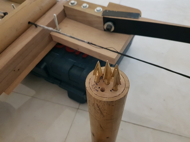 Dựng bảo tàng sinh thái Cổ Loa- Ảnh 3. Dựng bảo tàng sinh thái Cổ Loa- Ảnh 3.