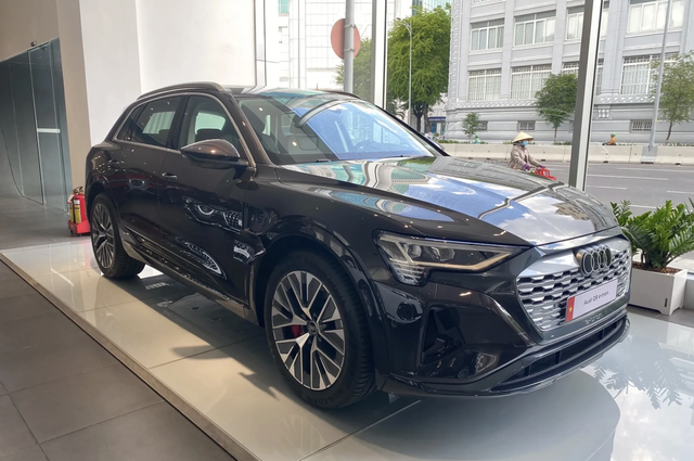 Audi e-tron, Q8 e-tron bị lỗi trợ lực phanh, triệu hồi 9 xe tại Việt Nam - Ảnh 2.