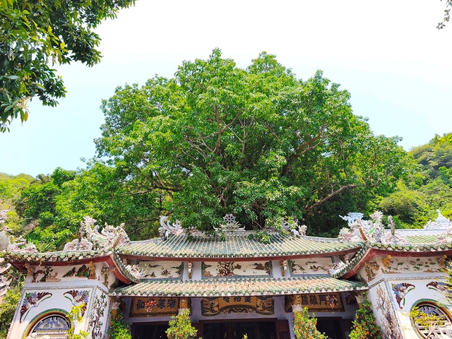 Rừng thi&ecirc;ng giữa phố: 'M&aacute;i nh&agrave;' của những linh tự ở Ngũ H&agrave;nh Sơn- Ảnh 3.