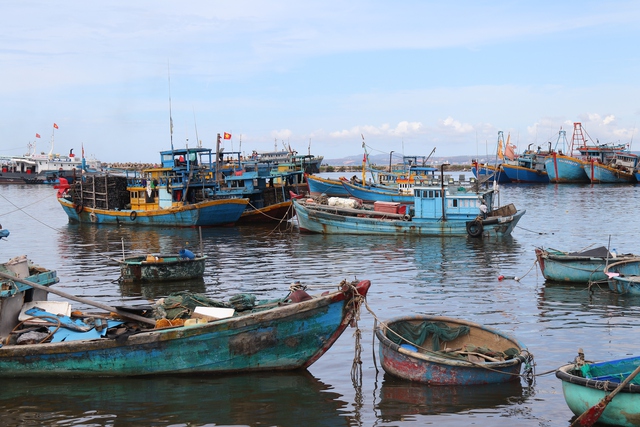 L&acirc;m Đồng tiến ra biển lớn: Biển khơi m&aacute;u thịt ng&agrave;n đời- Ảnh 6.