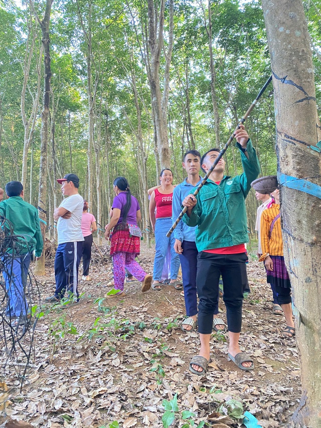 Cháng Seo Cú - Vững tay nghề, sáng vai trò ‘cầu nối’ lao động vùng cao- Ảnh 1. Cháng Seo Cú - Vững tay nghề, sáng vai trò ‘cầu nối’ lao động vùng cao- Ảnh 1.