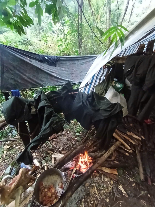 'Bí ẩn' rừng sâu Vườn quốc gia Chư Yang Sin- Ảnh 4. 'Bí ẩn' rừng sâu Vườn quốc gia Chư Yang Sin- Ảnh 4.