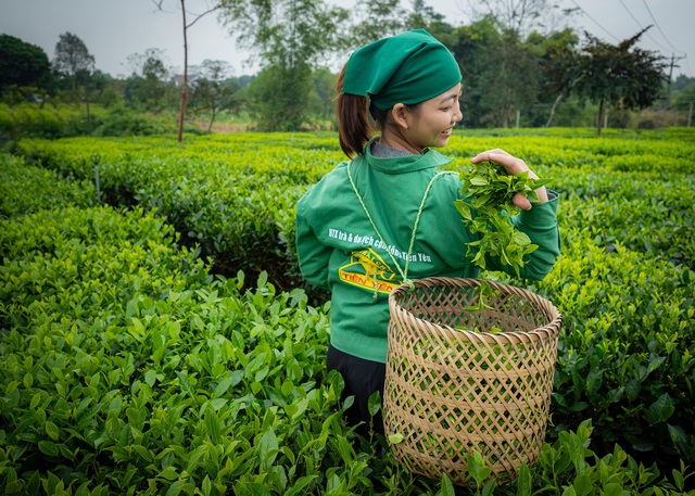 Quảng bá đất nước với 'ngân hàng câu chuyện Việt Nam' - Ảnh 3.