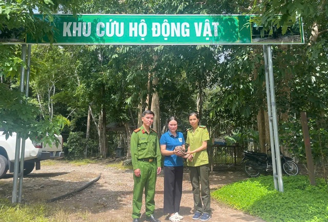 T&ecirc; t&ecirc; Java qu&yacute; hiếm b&ograve; v&agrave;o s&acirc;n nh&agrave;, người d&acirc;n giao nộp c&ocirc;ng an - Ảnh 1.