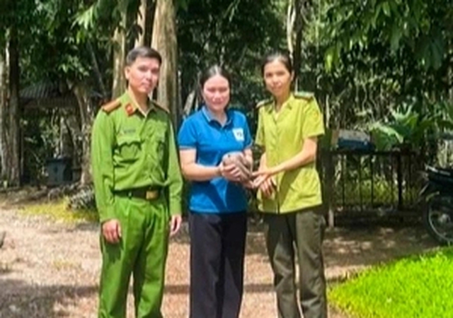 Tê tê Java bò vào sân, người dân giao nộp cho công an- Ảnh 1. Tê tê Java bò vào sân, người dân giao nộp cho công an- Ảnh 1.